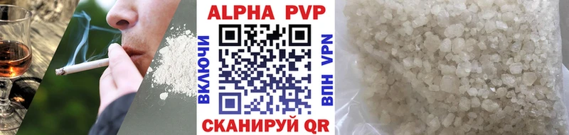 Альфа ПВП СК Ярославль
