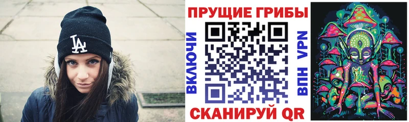 Псилоцибиновые грибы Psilocybine cubensis  площадка наркотические препараты  Ярославль  цены  
