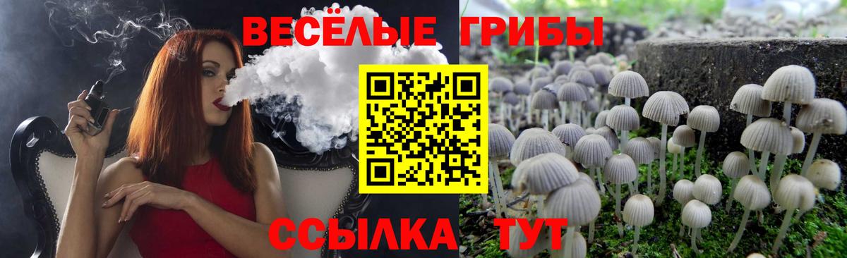 купить   Псилоцибиновые грибы Cubensis  Вход с VPN  Ярославль  Галлюциногенные грибы Cubensis 