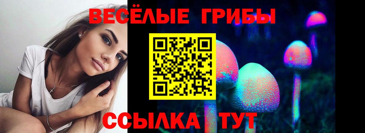 Галлюциногенные грибы мухоморы Ярославль