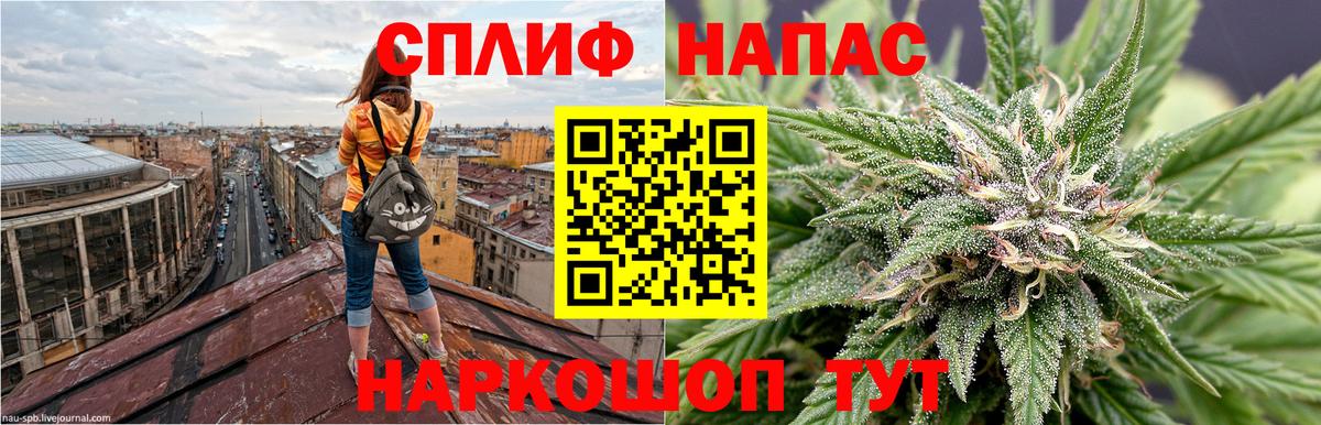 Каннабис гибрид Ярославль
